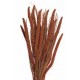 SPRAY MILLET 28" Burnt Oak-OUT OF STOCK